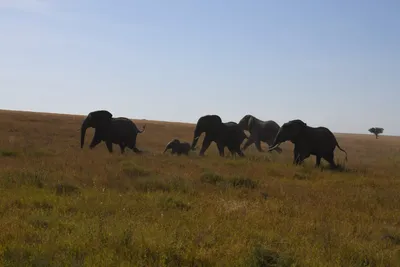 DSC_3889 (Large).JPG